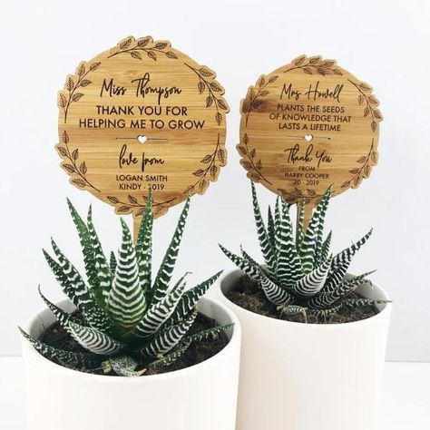 Best teacher gifts: Say thank you in the nicest way | Bounty Parents Box Regalo, Wall Decoration Diy, Diy Wall Decor Ideas, Bamboo Flower, Appreciation Gifts Diy, Teacher Appreciation Gifts Diy, Decor Ideas For Living Room, Plant Gift, Teachers Day Gifts