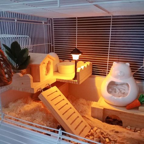 Hamster Cage In Bedroom, Hamster Cage Aesthetic, Hamster Cage Ideas Aesthetic, Hamster Cage Setup, Hampster Cage, Kandang Hamster, Hamster Diy Cage, Hamster Ideas, Hedgehog Cage