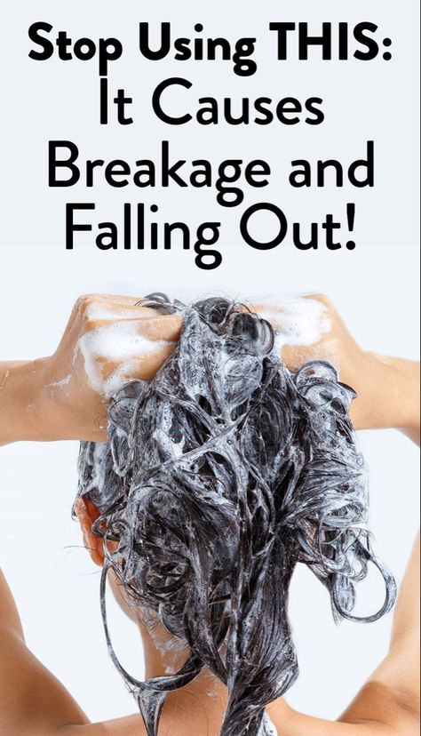 Many shampoos contain ingredients that work against your hair health, resulting in dry, damaged, and breakable strands. To make sure your shampoo isn’t making your hair worse, keep reading for the shampoo ingredients you should be avoiding for healthy and thick hair. #hair #hairstyles #haircare #hairgoals Grow Thick Long Hair, Herbs For Hair, Shampoo Ingredients, Dry And Damaged Hair, Girls Short Haircuts, Curly Wedding Hair, Curly Hair Photos, Easy Fashion, Healthy Hair Tips