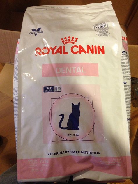 Royal Canin Feline Dental Cat Food Dry 7.7 Pound Bag (3.5 kg) For Cats and Kittens >> Can't believe it's available, see it now : Cat food Diy Cat Food, Pets Products, Best Cat Food, Canned Cat Food, Nursing Supplies, Kitten Food, Cat Dander, Cat Food Storage, Wet Cat