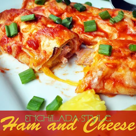 Looking for a fun twist on dinner? Try this ham and cheese-- enchilada style! It's just like the ham and cheese you know and love, but with a twist! Ham Enchiladas, Soup Comfort Foods, Grilled Cheese With Tomato Soup, Chicken And Noodle Soup, Hearty Tomato Soup, Cheese With Tomato, Grilled Cheese With Tomato, Soup Comfort, Drink Recipies