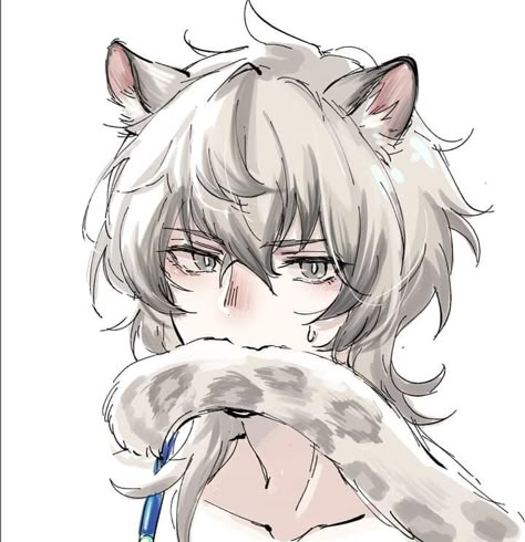 Anime Cat Boy, Hybrid Cat, Neko Boy, Hybrid Art, Cat Kawaii, Anime Japanese, Cat Boys, 캐릭터 드로잉, Japanese Kawaii