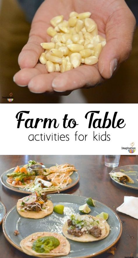 5 Fun Farm to Table Activities for Students.  This is such an important concept in today's society.  Why not address it in the classroom?  Here are some good ideas to get you started on having your students appreciate our natural resources.  Read more at:  http://imaginationsoup.net/2016/05/19/5-fun-farm-to-table-activities-for-kids/ Farm To Table Activities, Agriculture Education Activities, Table Activities For Kids, Ag In The Classroom, Ag Education, Table Activities, From Farm To Table, Farm To Fork, Gardening With Kids