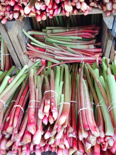 In Season: Rhubarb. Featuring rhubarb health benefits, cooking and storage tips, and recipes! Rhubarb Zucchini Bread, How To Cook Rhubarb, Healthy Rhubarb Recipes, Cooking Mussels, Rhubarb Rhubarb, Recipes Aesthetic, Growing Rhubarb, Zucchini Bread Healthy, Squash And Ground Beef Recipes