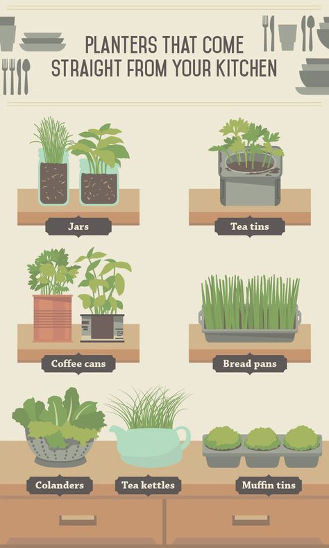 The Essential Guide To Growing Veggies Indoors. No Garden Needed. Growing Food Indoors, Indoor Vegetables, Potatoes Carrots, Indoor Vegetable Gardening, Growing Veggies, Indoor Herb Garden, Herbs Indoors, Hydroponic Gardening, Diy Tags