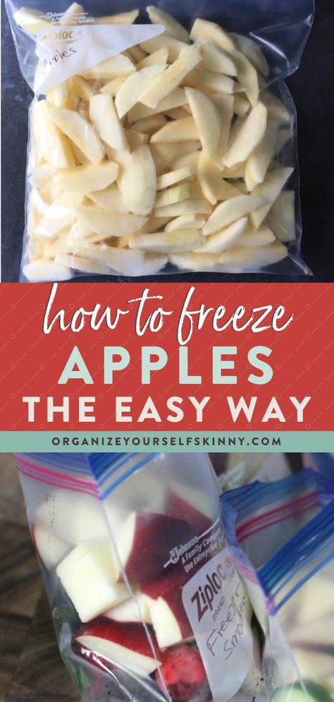 Apple Recipes Healthy Freezer, Can You Freeze Apple Butter, Can You Freeze Sliced Apples, How To Save Fresh Apples, Can I Freeze Apples, Different Ways To Freeze Apples, How To Prepare Apples For Freezing, How To Preserve Sliced Apples, Freeze Apples For Apple Crisp