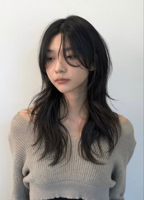 Layered Hair Reference, Layered Hair Asian, Asian Layered Hair, Soft Wolf Cut, Hairstyle Asian, Hush Cut, Korean Long Hair, Long Hair Inspo, Korean Haircut