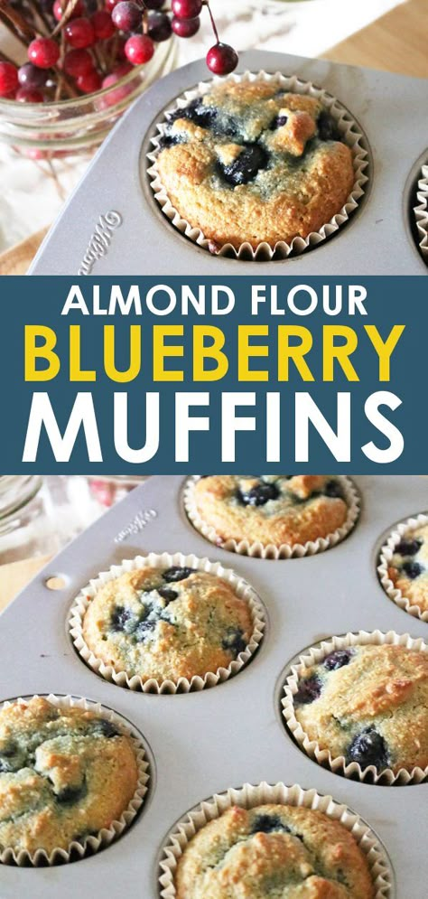 Blueberry Muffins Gluten Free Easy Recipes, Gluten Free Blueberry Muffins Almond Flour, Almond And Coconut Flour Muffins, Healthy Gf Blueberry Muffins, Healthy Muffin Recipes Almond Flour, Recipes Using Almond Flour Baking, Recipes With Almond Meal, Almond Flour Blueberry Cake, Cooking With Almond Flour