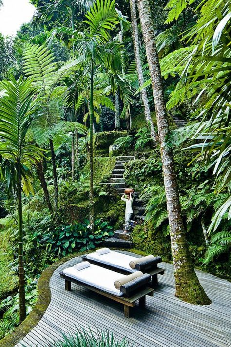 Como Shambhala Estate, Como Shambhala, Tenda Camping, Voyage Bali, Wellness Resort, Wellness Hotel, Bali Travel, Tropical Garden, Ubud