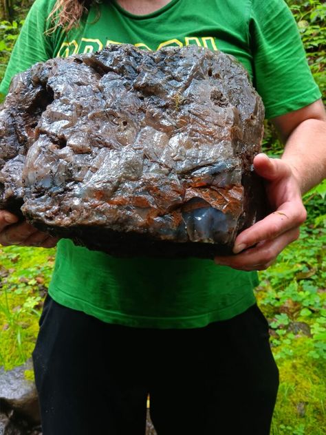 Man Discovers a Massive 60lb Agate on the Oregon Coast Rock Hounding Oregon Coast, Raw Agate Rocks, Oregon Agates, Rockhounding Oregon, Silver Falls Oregon, Rocks Science, Gem Hunting, Raw Gemstones Rocks, Humboldt County California