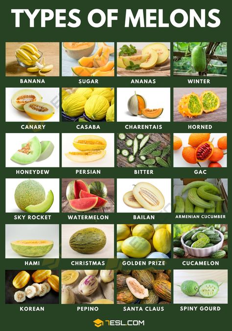 55 Different Types of Melons with "Juicy" Pictures Watermelon Ripeness, Types Of Melons, Fruits And Vegetables List, Culinary Cooking, Jesus Clothes, Fruit List, Winter Melon, Healthy Food Facts, Banana Plants