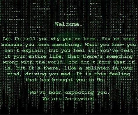 Matrix Quotes, Anonymous Quotes, V For Vendetta, Guy Fawkes, Awakening Quotes, Question Everything, You Mad, Wise Quotes, Matrix