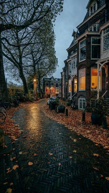 Street Scenes Photography, City Street Aesthetic, Streets Aesthetic, Rainy Streets, Fall In The City, Cozy City, Town Photography, House Forest, Autumn City