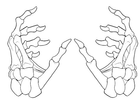 Hand Holding Tattoo, Skeleton Hand Tattoos, Skeleton Hands Drawing, Hand Holding Something, Hook Tattoos, Skull Hand Tattoo, Skeleton Drawings, Drawing Hands, Skeleton Tattoos