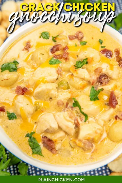 Crack Chicken Gnocchi Soup Recipe - This creamy, cheesy, and totally comforting soup is loaded with tender chicken, smoky bacon, and fluffy gnocchi, all brought together with a zesty ranch flavor. Perfect for cozy nights and easy weeknight dinners, this soup is sure to become a family favorite. Chicken Gnocchi Soup Crockpot, Cheddar Cheese Chicken, Chicken Gnocchi Soup Recipe, Gnocchi Recipes Soup, Zesty Ranch, Slow Cooker Casserole, Chicken Gnocchi, Bacon Soup, Chicken Gnocchi Soup