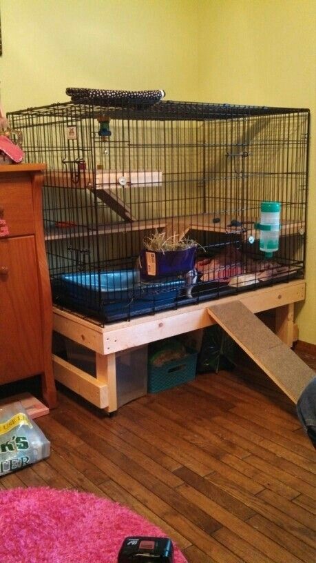 Bunny home Hedgehog Pet Cage, Diy Bunny Cage, Diy Guinea Pig Cage, Bunny Things, Bunny Cage, Bunny Hutch, Rabbit Stuff, Rabbit Ideas, Bunny Room