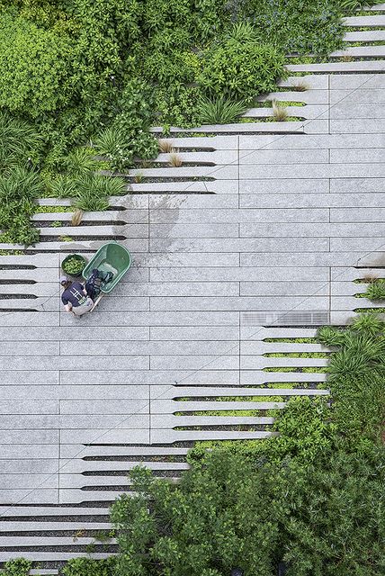 High Line Gardening | Flickr - Photo Sharing! Pavement Design, Landscape And Urbanism Architecture, Paving Pattern, Paving Design, Urban Landscape Design, Landscape And Urbanism, Landscape Architecture Design, High Line, Parking Design