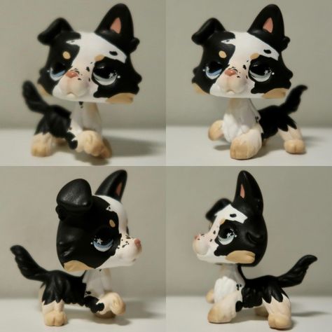 Lps Custom Dachshund, Lps Custom Collie, Lps Customs Collie, Cute Lps Customs, Lps Collie Custom, Lps Customs Ideas Easy, Littlest Pet Shop Custom, Custom Lps Ideas, Lps Customs Ideas