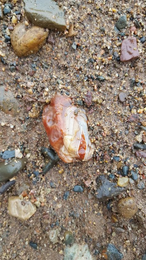 Agate in its natural habitat. Agate Hunting, Hunting Aesthetic, Black Pinterest, Lake Superior Agates, Rocks And Fossils, Rock Hunting, Rock And Pebbles, Rock Minerals, Pretty Rocks