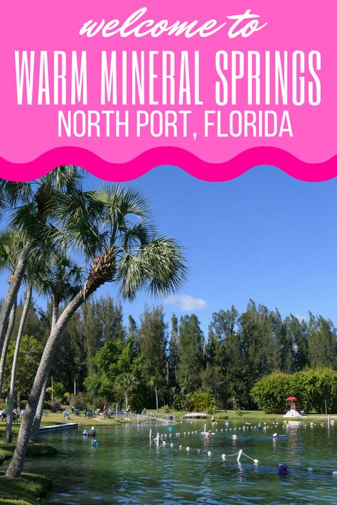 Warm Mineral Springs Florida, Angel Favors, Florida Day Trips, North Port Florida, Florida Trips, Englewood Florida, Florida Travel Destinations, Florida Adventures, Florida Springs