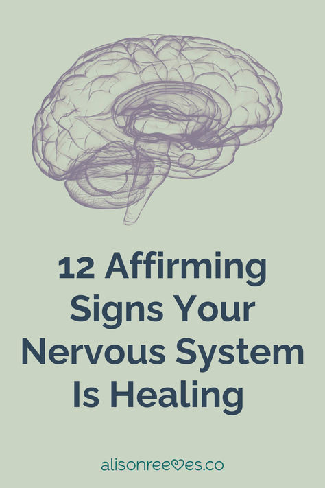 If you’ve been on an intentional self development journey, you might be wondering: what are the signs your nervous system is healing?  In the labyrinth of our intricate physiology lies the nerve center of our body. The nervous system acts as our body’s control system. But its balance can be disrupted by chronic stress, lingering echoes of traumatic experiences, childhood trauma, mental health issues, natural disasters, and more. Interest Based Nervous System, Food For Nervous System, Dysregulated Nervous System Symptoms, Regulating The Nervous System, Essential Oils For Nervous System, Overactive Nervous System, Nervous System Health, Ways To Regulate Nervous System, Signs You Are Healing