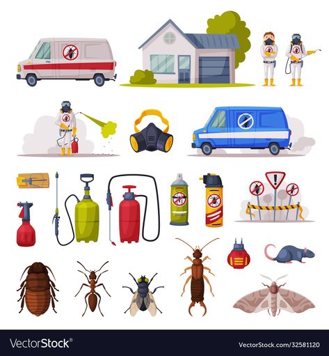 Illustration Web Design, Harmful Insects, Home Pest Control, Pest Control, Png Images, Insects, Adobe Illustrator, Vector Free, Vector Images