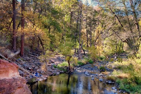 Best Camping in and Near Coconino National Forest Arizona Forest, Coconino National Forest, Fossil Creek, Koa Campgrounds, Forest Resort, Tahquamenon Falls, Arizona Camping, Oak Creek Canyon, Travel Arizona