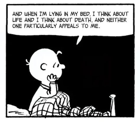 Charlie Brown Quotes, Cartoon Strip, Snoopy Quotes, Snoopy Pictures, Life Quotes Love, Charlie Brown And Snoopy, A Cartoon, To Sleep, Mood Pics