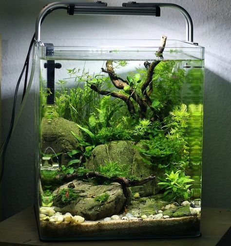 Fish Tank Landscape Ideas, Nano Aquascape, Fish Aquarium Decorations, Fish Tank Themes, Fish Tank Terrarium, Taman Air, Amazing Aquariums, Cool Fish Tanks, Aquascape Design