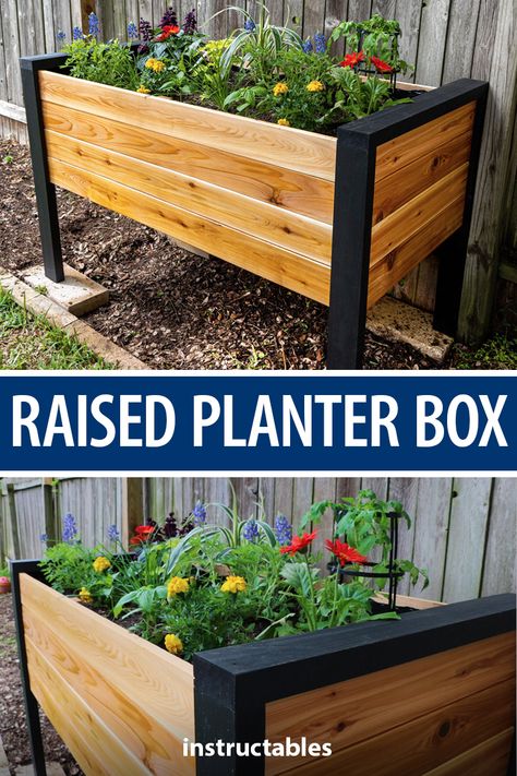 Build a simple raised planter box to hold your favorite flowers. Great for backyards and patios. #Instructables #workshop #woodshop #woodworking #gardening Diy Raised Planter, 8 Months Pregnant, Raised Planter Boxes, Raised Flower Beds, Garden Planter Boxes, Diy Planter Box, Diy Raised Garden, Raised Garden Beds Diy, Raised Planter