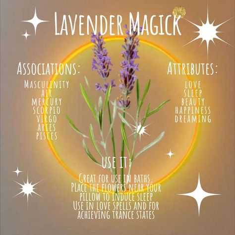 Lavender Witchcraft Uses, Spells To Attract Love, Plant Symbolism, Simmer Pots, Modern Witchcraft, Virgo And Aries, Lavender Crafts, Witchcraft Magic, Lavender Perfume