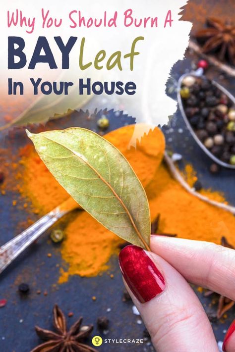 Burn a Bay Leaf in Your House. The Reason? You’ll be Amazed! Bay Leaf Benefits, Bay Leaf Tea, Burning Bay Leaves, Hooded Eyelids, Healthy Book, Useful Hacks, Health Routine, Healthy Advice, Eye Lift