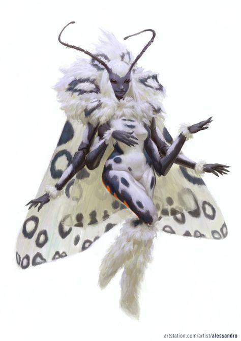 Moth Fairy, Creature Fantasy, Heroic Fantasy, Fantasy Races, Monster Girls, Arte Fantasy, Fairy Art, Creature Concept, 영감을 주는 캐릭터