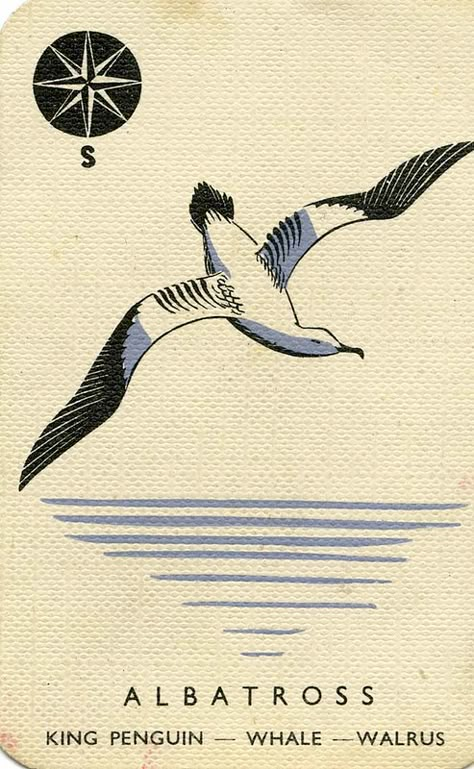 Albatross Tattoo Design, Albatross Tattoo, London 1950s, Anatomy Pictures, The Albatross, Animal Families, Ancient Mariner, My Fantasy World, Badass Tattoos