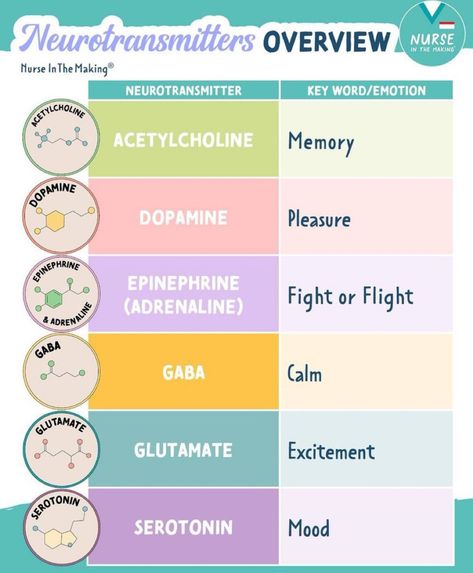 Nursing Students Study Notes Mental Health, Neuro Nursing Notes, Neuro Nursing Cheat Sheets, Mental Health Nursing Student, Neuro Pharmacology, Fnp Study Cheat Sheets, Nursing Fundamentals Study Guides, Neuro Nursing, Pharmacy Technician Study