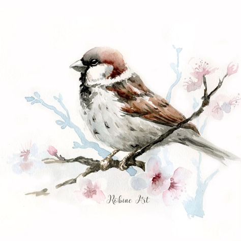 Spring🤍 blooms🤍 birds singing 🌺🍀🐦🌷🪻🌿🕊️ . #sparrow #sketchbook #watercolorpainting #birdsofinstagram #birds #birdlover #springvibes #watercolorartist #watercolorinspiration #watercolor_daily #watercolorsketchbook #watercolor_art #robineart Drawing Room Paint, Watercolor Sparrow, Sparrow Watercolor, Sparrow Art, Birds Paintings, Birds Singing, House Sparrow, Watercolor Birds, Room Painting