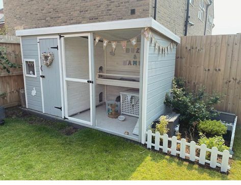 Rabbit Hutches Outdoor, Bunny Sheds Outdoor, Bunny Shed Ideas, Outside Rabbit Enclosure, Guinea Pig Outdoor Enclosure, Bunny House Outdoor, Outdoor Bunny Habitat, Outdoor Bunny Enclosure, Rabbit Shed Ideas