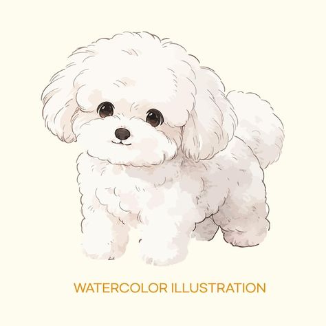 A drawing of a poodle called the waterco... | Premium Vector #Freepik #vector #puppy-illustration #cute-dog-illustration #poodle-dog-illustration #poodle-pose-illustration Poodle Puppy Drawing, Poodle Dog Illustration, Cute Dogs Illustration, Poodle Art Drawing, Cute Poodle Drawing, Dog Poses Drawing, Poodle Dog Drawing, Kawaii Dog Drawing, Toy Poodle Illustration