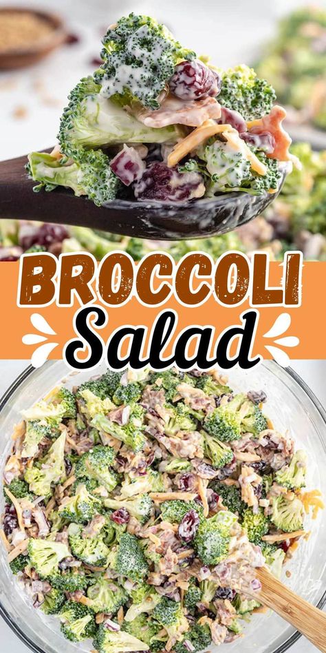 Broccoli Salad Broccoli Salad Videos, Broccoli Salad Recipe Easy, Thanksgiving Paleo, Grad Food, Best Broccoli Salad Recipe, Easy Broccoli Salad, Broccoli Cauliflower Salad, Broccoli Salad Bacon, Easy Broccoli