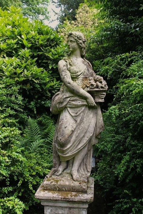 Statue Drawing, Stone Garden Statues, Roman Garden, Irish Garden, Lost Garden, Roman Statue, Outdoor Garden Statues, Nature Projects, Stone Statue