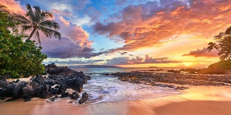 Panorama Photography, Panoramic Photography, Forest Scenery, Koh Chang, Photography Prints Art, Beach Landscape, Photography Gallery, Alam Yang Indah, Ocean Photography