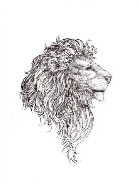 Uncle Tattoo, Jungle Tattoo, Images Noêl Vintages, Lion Tattoos, Lion Drawing, Lion Tattoo Design, Theme Tattoo, Creation Art, Lion Art