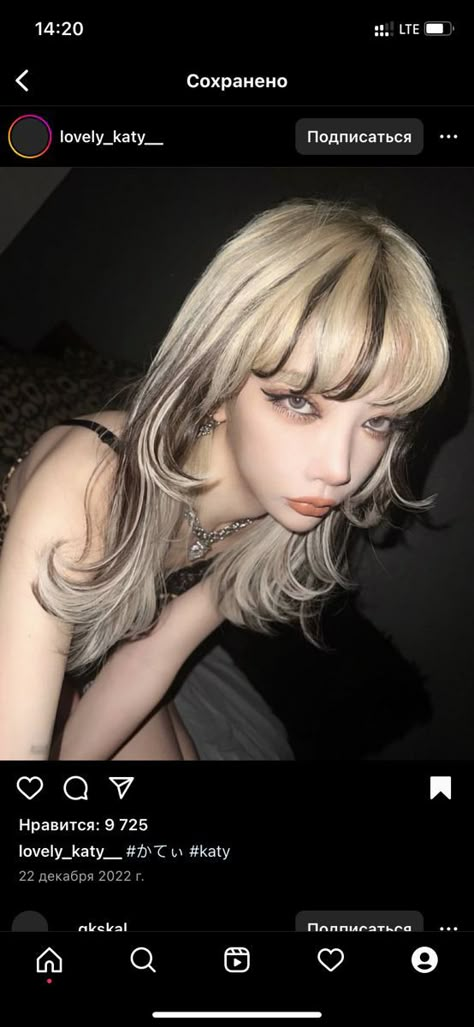 Hidden Skunk Hair, Platinum Hair With Brown Highlights, Grunge Blonde And Brown Hair, Black Chunky Highlights On Blonde Hair, Harsh Layered Hair, Black And White Hair Inspiration, Wolfcut Hair Long Blonde Highlights, Blonde Hair With Black Highlights Y2k, Blonde Brown Streaks