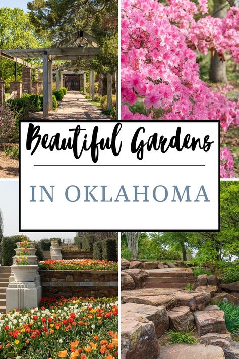 Oklahoma has some incredible gardens, offering an opportunity to relax and appreciate the beauty of nature. A perfect outing awaits you with opportunities to explore tranquil ponds, vibrant flowers, and secret pathways. Oklahoma Flower Beds Landscape Design, Oklahoma Landscape Ideas, Oklahoma Flowers, Oklahoma Landscaping, Incredible Gardens, Oklahoma Garden, Oklahoma Gardening, Vegetable Planting Guide, Vegetable Planting