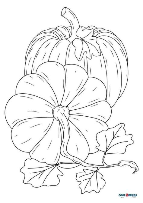 Tracing Patterns Free Printable, Pictures To Trace And Paint, Free Fall Printable Coloring Pages, Halowen Drawing, Painting Outlines Free Printable, Pumpkin Line Drawing, Pumpkin Free Printables, Halloween Pumpkin Illustration, Pumpkins Drawings