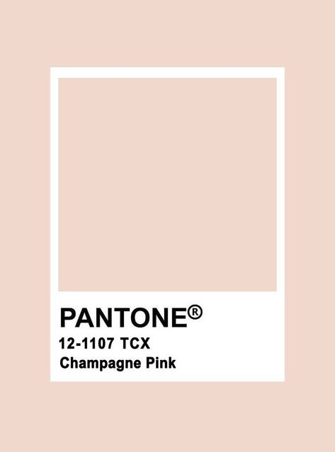 Champagne Color Palette, Pink Pantone, Applying Blush, Blush Color Palette, Pantone Colours, Pantone Colour Palettes, Bedroom Colour Palette, How To Apply Blush, Champagne Pink