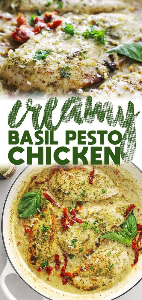 Tomato Orzo Pasta, Pesto Dishes, Tomato Orzo, Basil Pesto Chicken, Baked Pesto Chicken, Chicken Pesto Recipes, Creamy Pesto Sauce, Basil Pesto Sauce, Basil Pesto Recipes