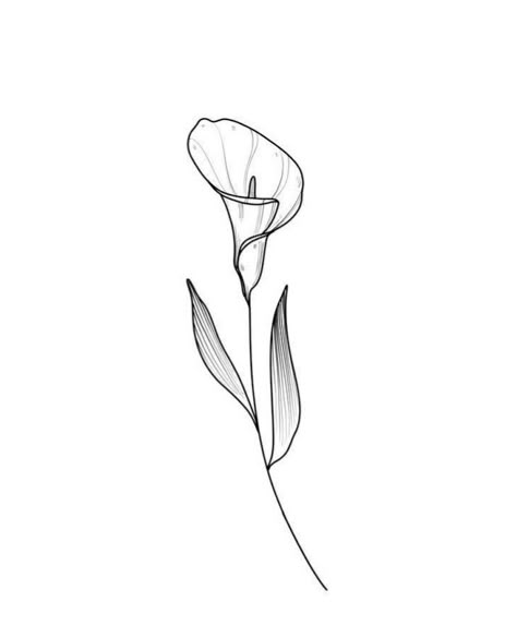 calla lilly Lillies Tattoo, Lily Flower Tattoos, Pumpkin Tattoo, Street Tattoo, Flower Tattoo Shoulder, Flash Tattoo Designs, Lily Tattoo, Spine Tattoos, Best Tattoo Designs