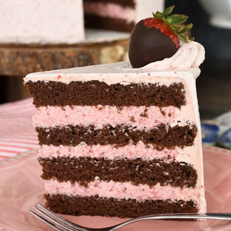 Chocolate Cake with Strawberry Mousse FIlling - Baking Sense® Chocolate Mousse Filling Recipe, Cake Filling Ideas, Chocolate Kahlua Cake, Best Chocolate Mousse Recipe, Mousse Cake Filling, Strawberry Mousse Filling, Best Chocolate Mousse, Chocolate Mousse Cake Filling, Strawberry Mousse Cake