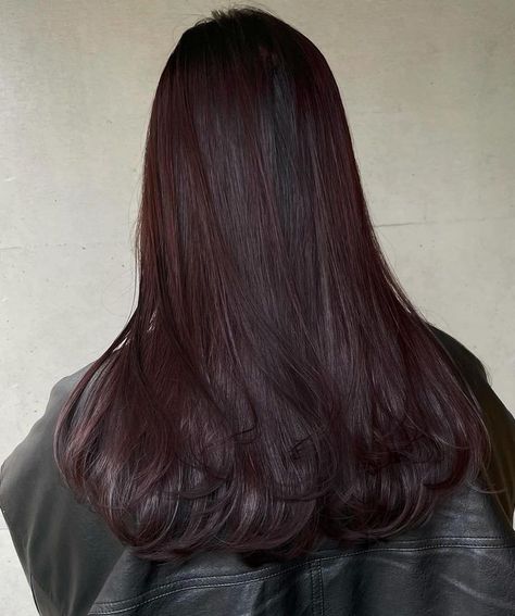 Brownish Maroon Hair, Red Cherry Highlights, Darkest Mahogany Brown Hair, Dark Brown Maroon Hair, Black And Wine Red Hair, Dark Red Chocolate Hair, Maroon Balayage On Black Hair, Cherry Black Hair Color Burgundy, Burgundy Dark Hair